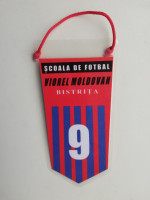 /album/bistrita/scoala-de-fotbal-viorel-moldovan-bistrita-16-jpg/